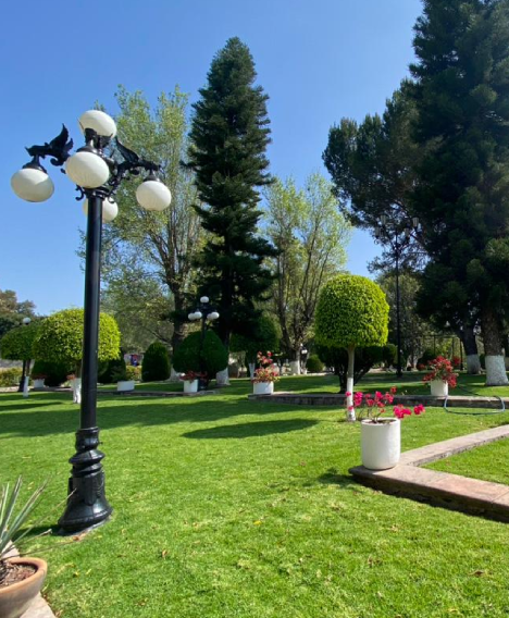 Síguenos Hotel Lagunilla Queretaro