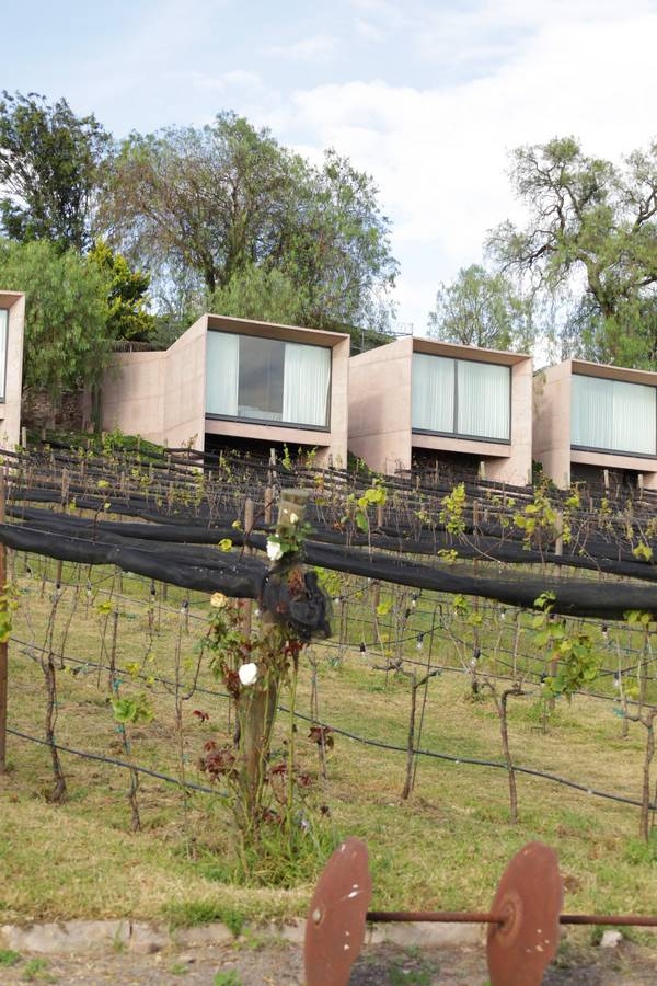 Viñedos Hotel Hacienda Lagunillas, Huimilpan Querétaro