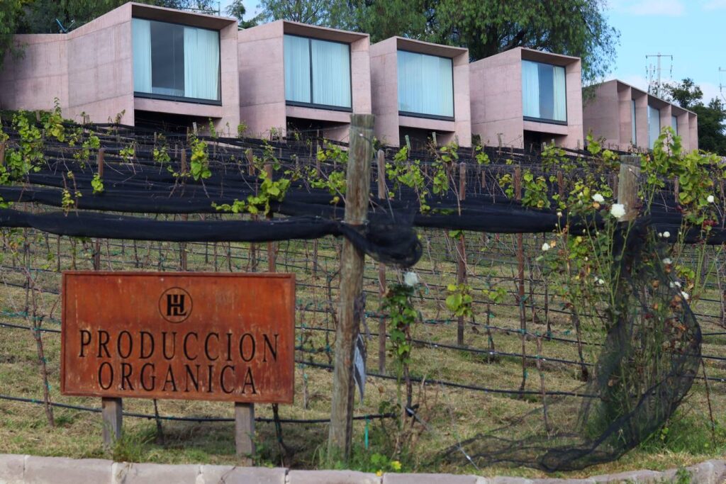 Viñedos Hotel Hacienda Lagunillas, Huimilpan Querétaro