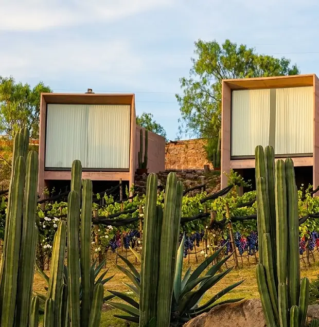 Viñedos Hotel Hacienda Lagunillas, Huimilpan Querétaro