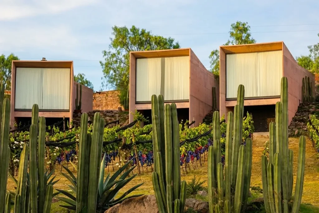 Viñedos Hotel Hacienda Lagunillas, Huimilpan Querétaro